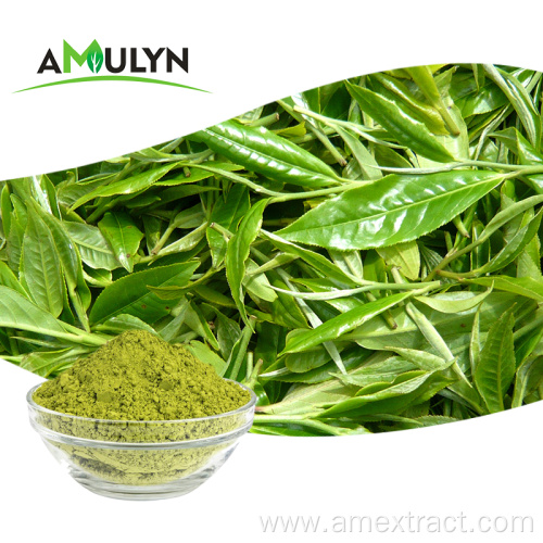 Premium Natural Matcha Green Tea Powder